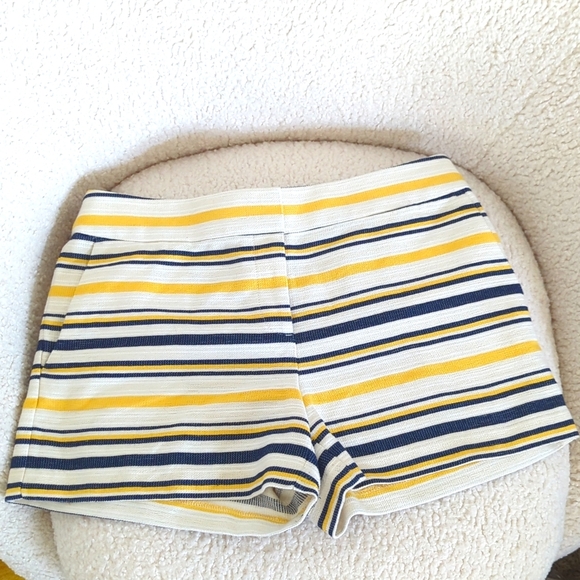 J Crew Striped Riviera Shorts with 4 Inch Inseam Length - Picture 5 of 8